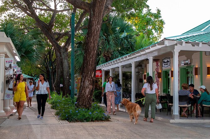 Punta Cana City Tour Explore the Heart of the City - Punta Cana City Tour in 4 Hours: What You Actually See