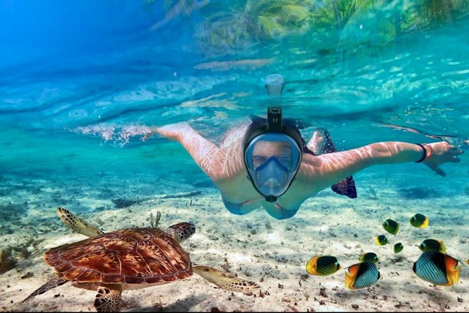 Punta Cana Combo Tour: Snorkeling, Catamaran Cruise & Parasailing - Who This Combo Tour Is Best For (And Who Should Skip It)