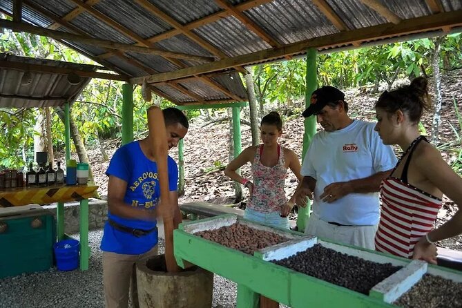 Punta Cana: Cultural half-day tours in the Dominican Republic - Getting to Higüey: the ranch ride, basilica visit, and local market time