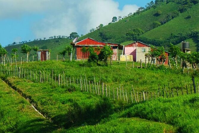 Punta Cana: Cultural half-day tours in the Dominican Republic - Otra Banda sugarcane tasting: sweet, simple, and very local