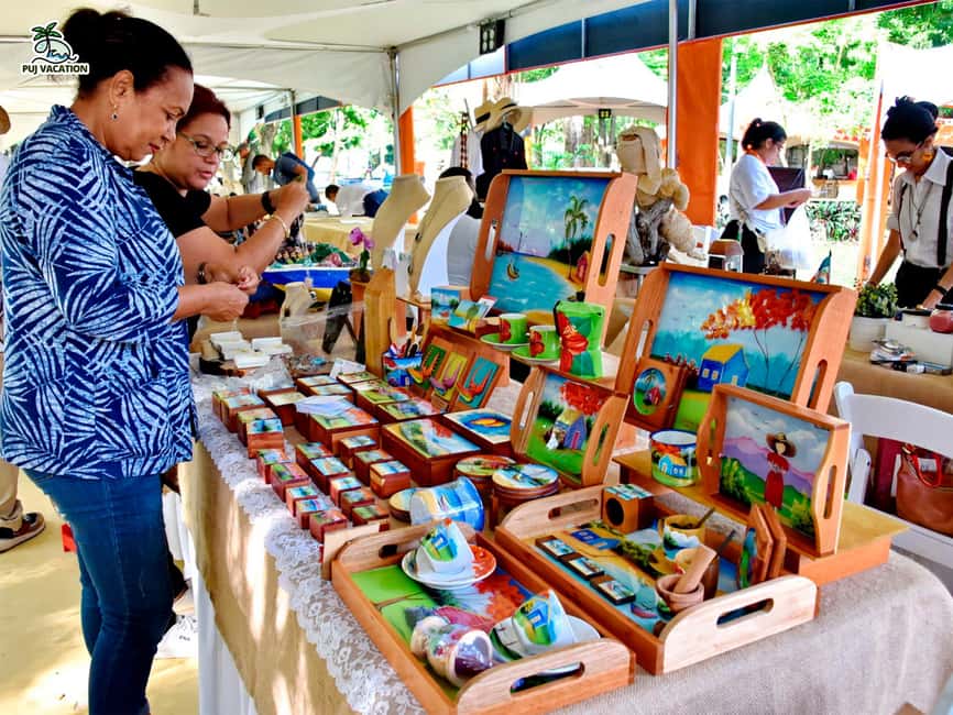 Punta Cana Cultural Tour History and Traditions Small Group - Price and logistics: value at $53, with some timing reality