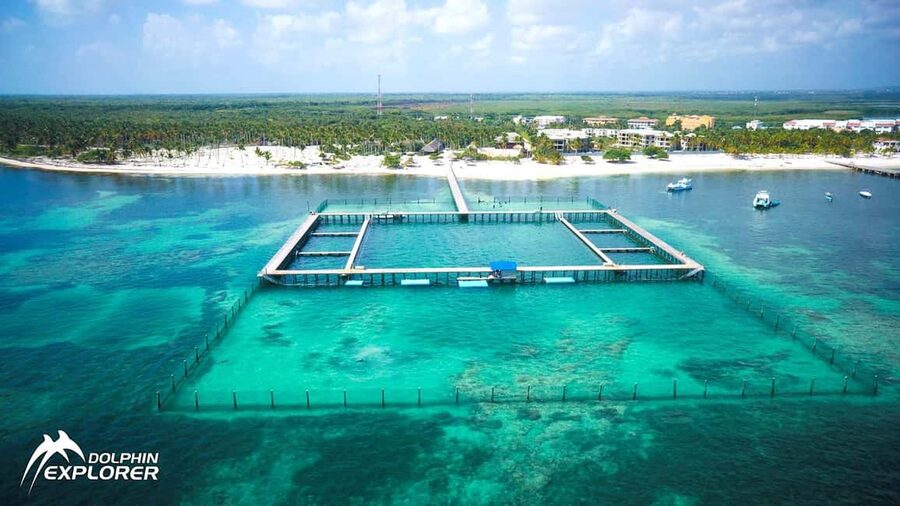 Punta Cana Dolphin Adventure: 40-Minute Interaction - Key Things to Know Before You Go