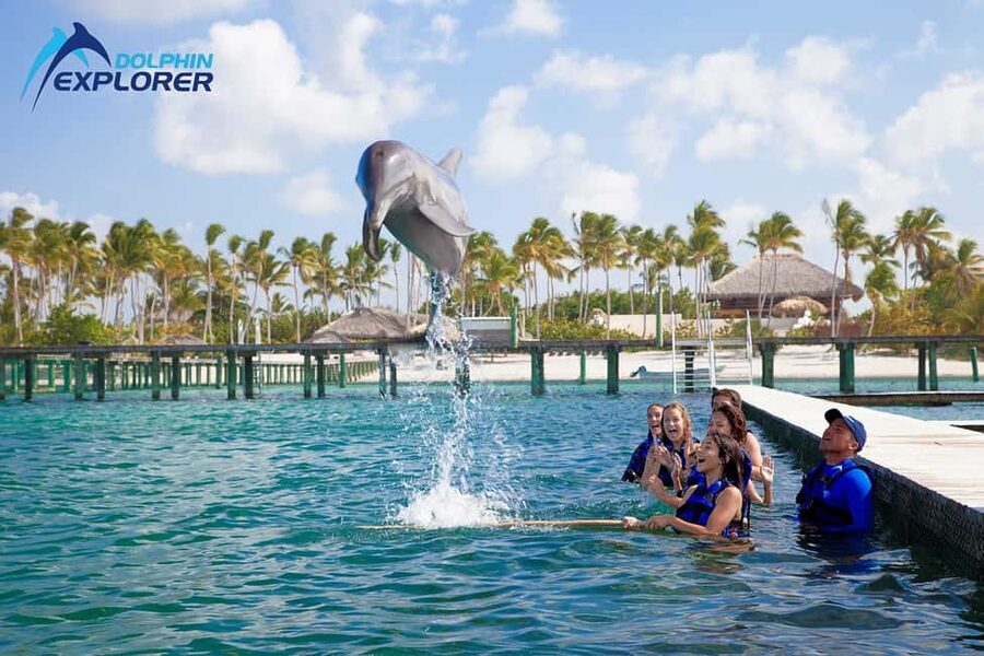 Punta Cana Dolphin Adventure: 40-Minute Interaction - What You Get in 40 Minutes at Dolphin Explorer