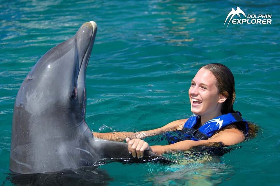 Punta Cana Dolphin Adventure: 40-Minute Interaction - In-Water Interaction: Hugs, Kisses, and Guided Time