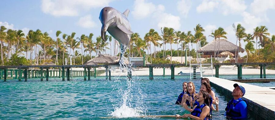 Punta Cana Dolphin Adventure: 40-Minute Interaction - Safety and Rules: Who This Works For (and Who Should Skip)