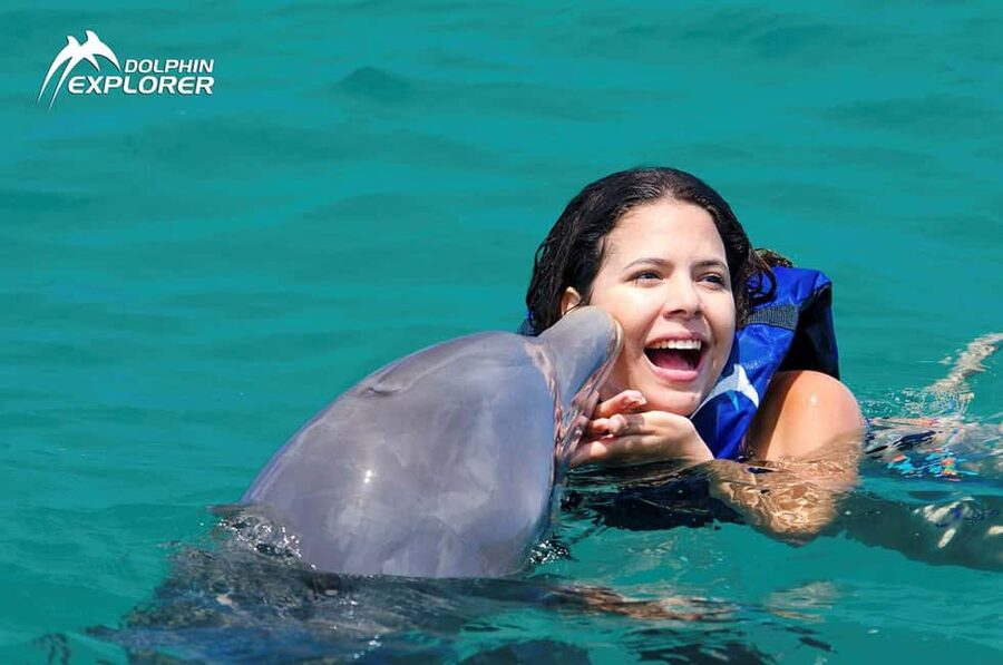 Punta Cana Dolphin Adventure: 40-Minute Interaction - Price Check: Is $167 Per Person Worth It?