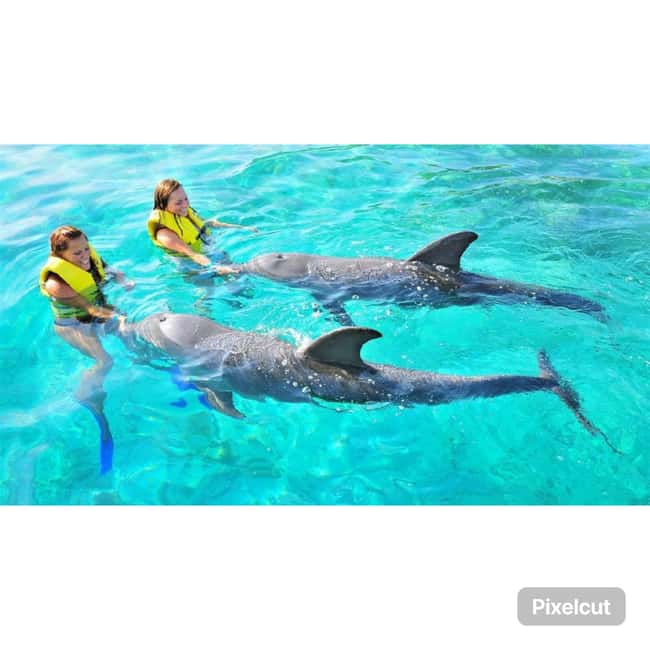 Punta Cana: Dolphin Explorer Park Entry, Swim, or Encounter - A few small things to plan so the day goes smoothly