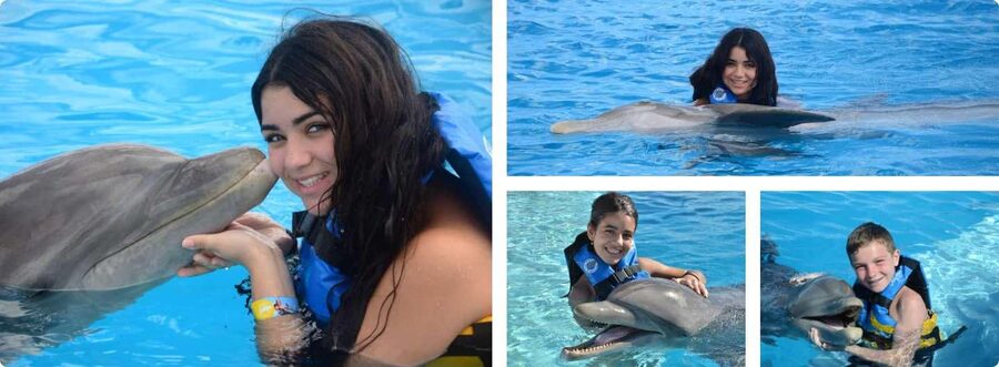 Punta Cana: Dolphin Explorer Park Entry, Swim, or Encounter - Entering Dolphin Explorer Park: what you’ll do first