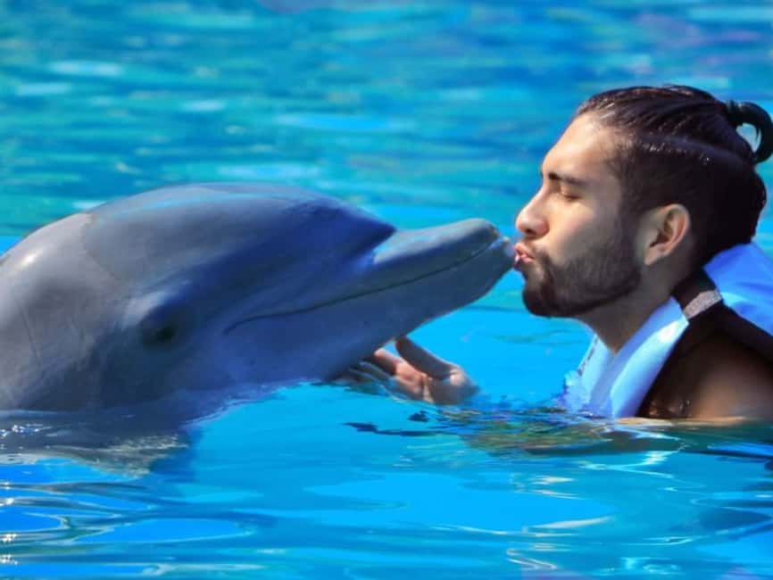 Punta Cana: Dolphin Explorer Park Entry, Swim, or Encounter - The dolphin games, hugs, and acrobatics that people remember
