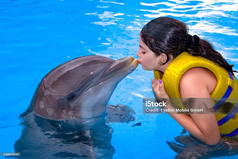 Punta Cana: Dolphin Explorer Park Entry, Swim, or Encounter - Where pickup gets tricky: Bávaro and Punta Cana logistics