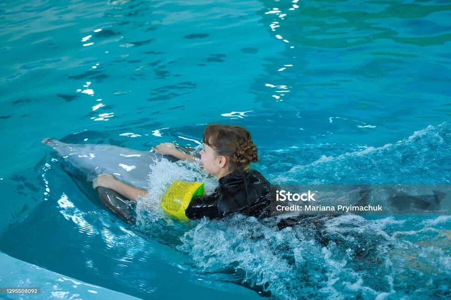 Punta Cana: Dolphin Explorer Park Entry, Swim, or Encounter - Price and value: what $140 really buys (and what it doesn’t)