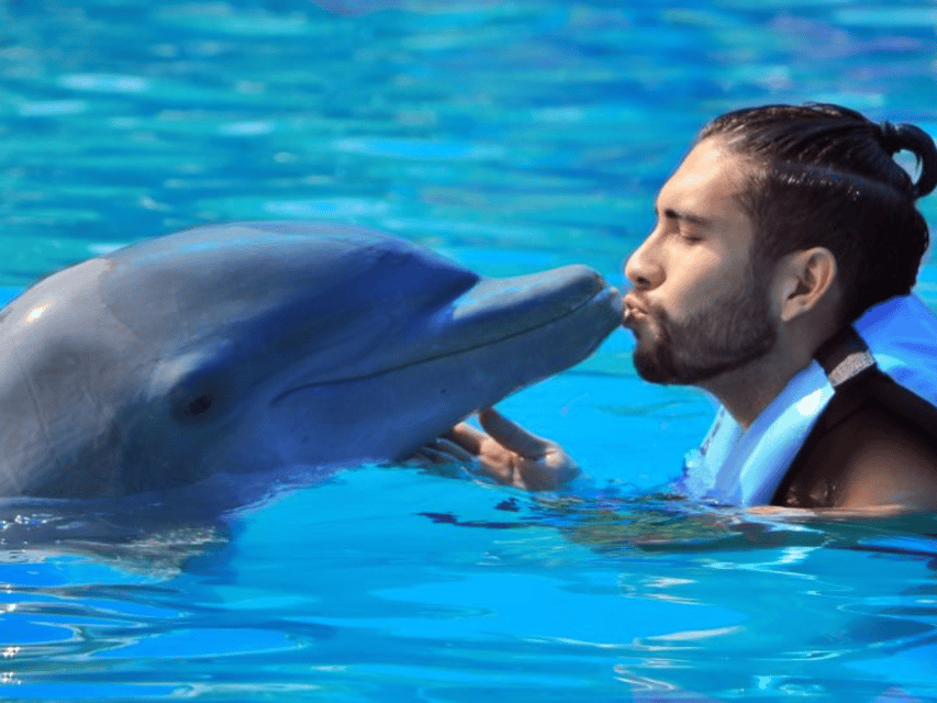 Punta Cana: Dolphin Explorer Park Entry, Swim, or Encounter - Time on the clock: why the experience can feel short