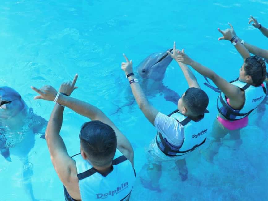 Punta Cana: Dolphin Explorer Park Entry, Swim, or Encounter - Swim, stand, or watch: your dolphin comfort level choices