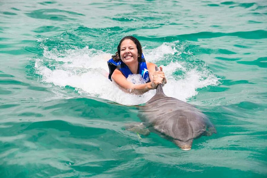 Punta Cana: Dolphin Explorer Swims and Interactions - Comfort and safety: who should reconsider this dolphin swim