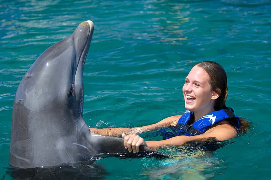 Punta Cana: Dolphin Explorer Swims and Interactions - Hotel pickup, lockers, and the pre-water briefing