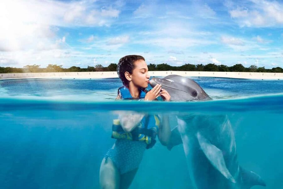 Punta Cana: Dolphin Interaction Experience & Hotel Transfers - Key Highlights You’ll Care About