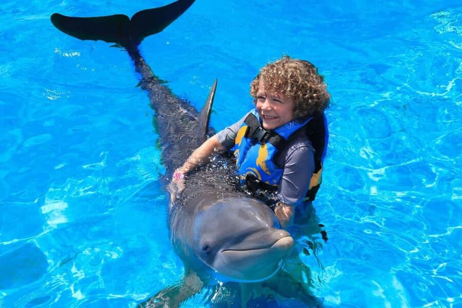 Punta Cana: Dolphin Interaction Experience & Hotel Transfers - Getting to the Dolphin Park: Punta Cana Hotel Transfers That Save Your Day