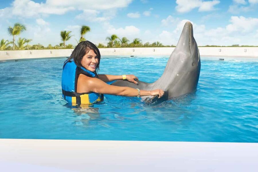 Punta Cana: Dolphin Interaction Experience & Hotel Transfers - The “Royal Swim” Style Session: Speed, Agility, and a Stronger Water Feeling