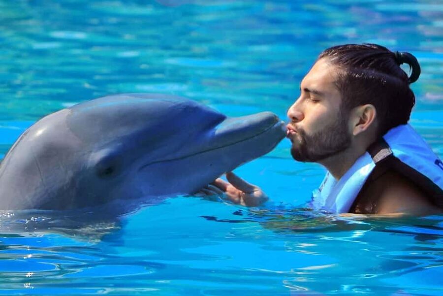 Punta Cana: Dolphin Interaction Experience & Hotel Transfers - Price and Value: What $140 Covers—and What You’ll Probably Spend Anyway