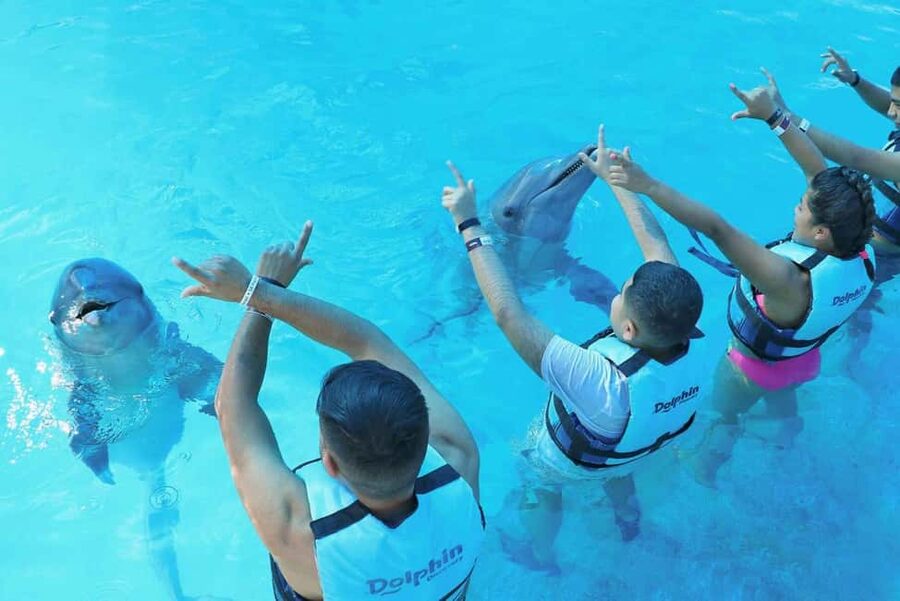 Punta Cana: Dolphin Interaction Experience & Hotel Transfers - Booking Tips That Make the Day Smoother