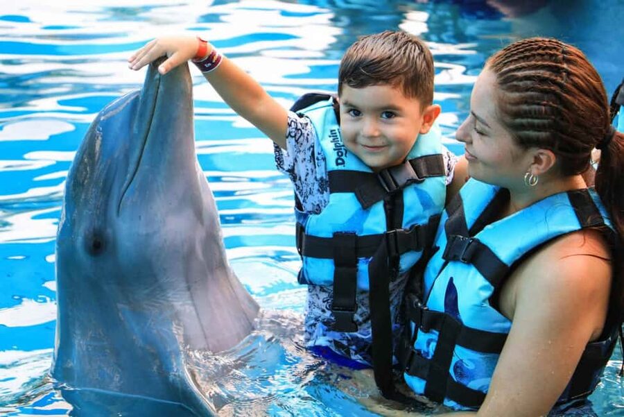 Punta Cana: Dolphin Interaction Experience & Hotel Transfers - Choosing Your Dolphin Program: The Standing Option and the “Play With the Dolphin” Moments