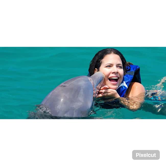 Punta Cana: Dolphin Park Entry and Swim with Dolphins - Key Points You’ll Feel Fast