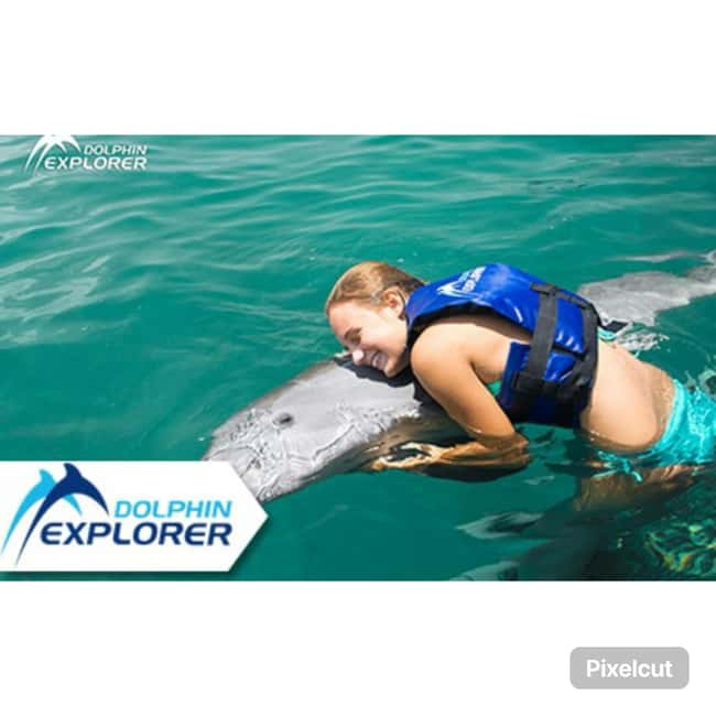 Punta Cana: Dolphin Park Entry and Swim with Dolphins - Dolphin Park in Punta Cana: How This 1-Hour Experience Plays Out