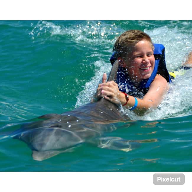 Punta Cana: Dolphin Park Entry and Swim with Dolphins - Picking the Right Option: Entry, Dolphin Swim, and Sea Lion Show