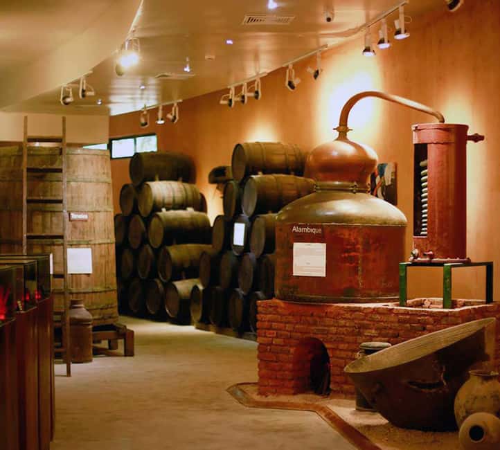 Punta Cana: Dominican Flavors Guided Day Trip - Ron Barceló Historic Center: Aging Cellar Aromas and Daily Packaging