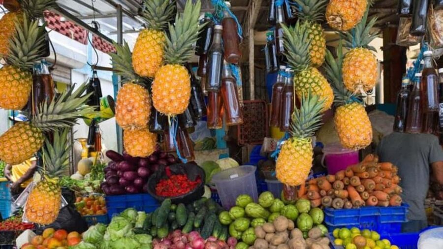 Punta Cana: Dominican Republic Culture Tour - Key Things You’ll Notice on This Punta Cana Culture Day