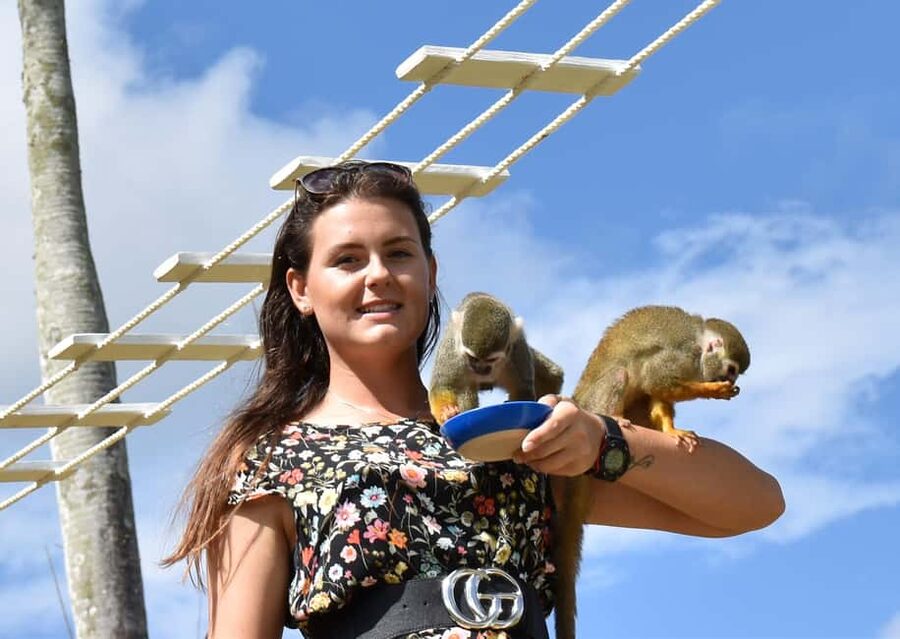 Punta Cana: Eco Park Safari Adventure - Animal stations with ostriches, emus, rabbits, and deer