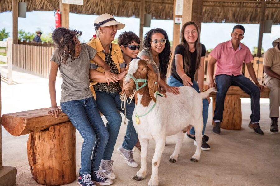 Punta Cana: Eco Park Safari Adventure - Who should book this safari-adventure