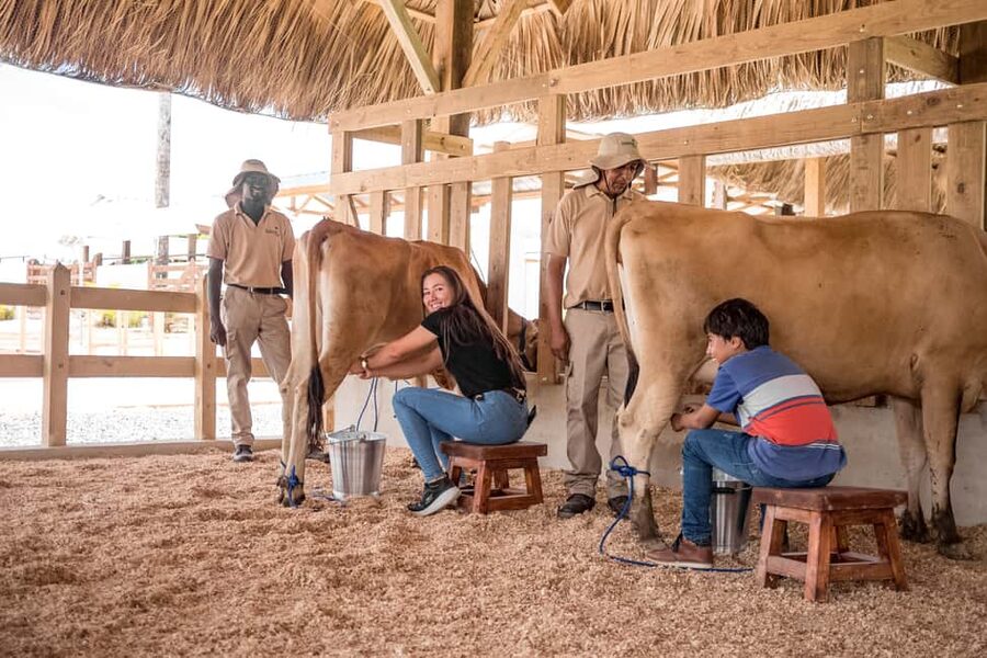 Punta Cana: Eco Park Safari Adventure - What to bring, rules to follow, and small choices that matter