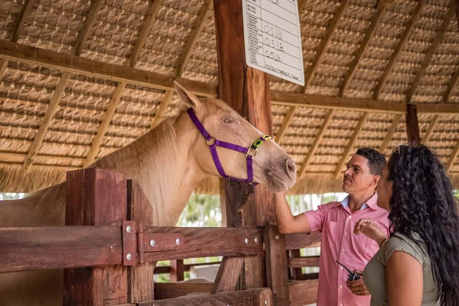 Punta Cana: Eco Park Safari Adventure - Hotel pickup and the panoramic bus: views that set the tone