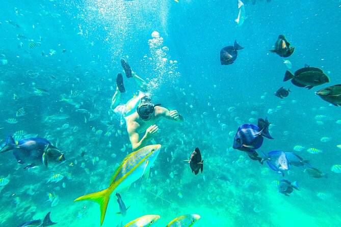 Punta Cana Exclusive Adults-Only Snorkel with Food and Drinks - Key points I’d circle before booking