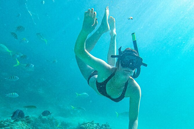 Punta Cana Exclusive Adults-Only Snorkel with Food and Drinks - Cap Cana’s adults-only snorkel: why it feels different