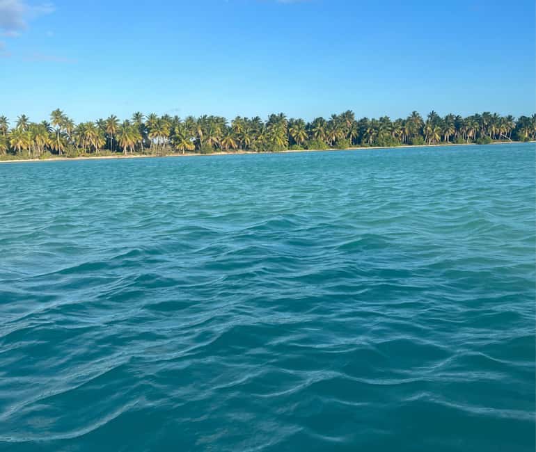 Punta Cana: Exclusive Private Catamaran Tour to Saona Island – VIP Service - Lunch by the sea: buffet at a private table