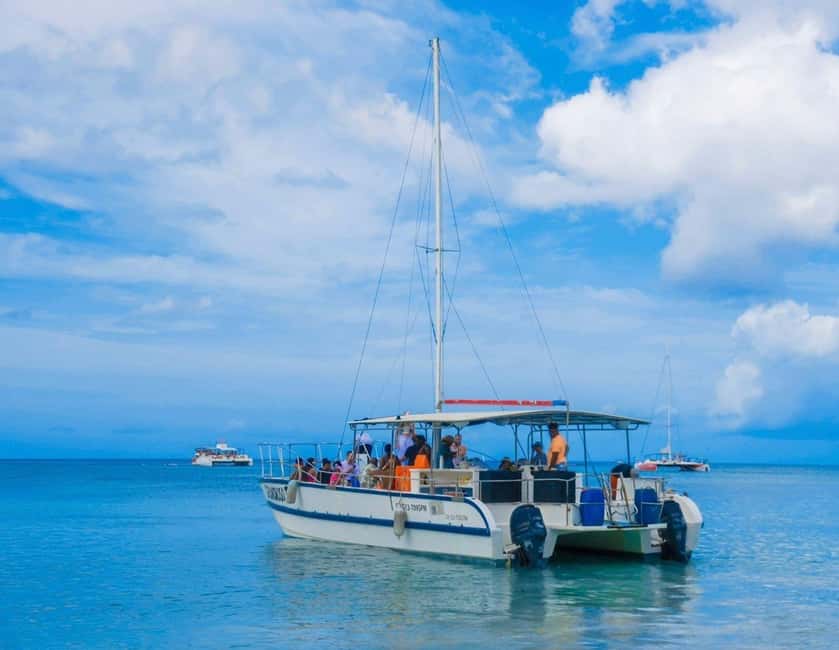 Punta Cana: Exclusive Private Catamaran Tour to Saona Island – VIP Service - Should you book this private Saona catamaran?