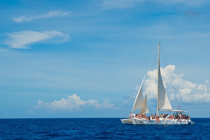 Punta Cana:Exclusive Private Tours for Groups of Up to 7 People - Lunch and drinks: Fusion gastronomy plus open bar on island time