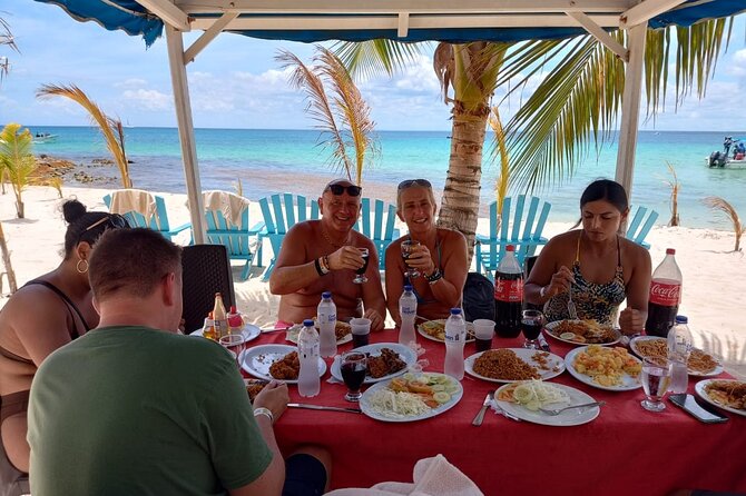 Punta Cana:Exclusive Private Tours for Groups of Up to 7 People - Who this Saona VIP day trip is best for