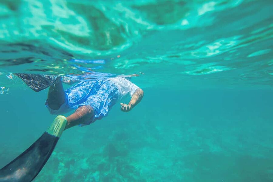 Punta Cana: Full Day Boat Trip to Catalina Island with Lunch - Snorkeling at the Catalina Wall: Equipment, a PADI Guide, and What to Look For