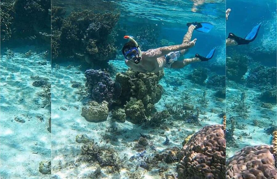 Punta Cana: Full-day Snorkelling Tour in Catalina Island - Reef snorkeling stop: coral, fish, and how the timing works