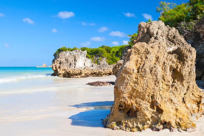 Punta Cana Guided Buggy Adventure Tour - Your Route in Plain English: Macao Cave, La Ceiba del Salado, Macao Beach