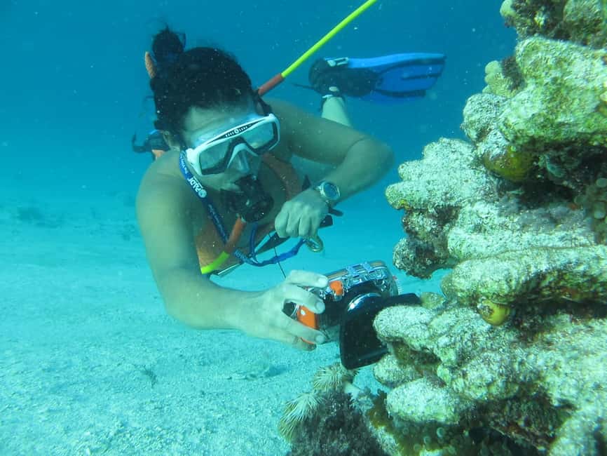 Punta Cana: Guided Power Dive Adventure - A 3-hour hookah-powered swim off Punta Cana’s Bávaro coast