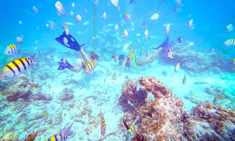Punta Cana: Guided Power Dive Adventure - The boat ride: drinks, snacks, and a real party mood