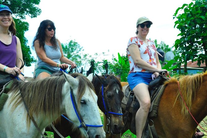 Punta Cana Half-Day Cultural Safari with Lunch and Drinks - Higüey town stops: souvenirs, cigar demo, and the local market