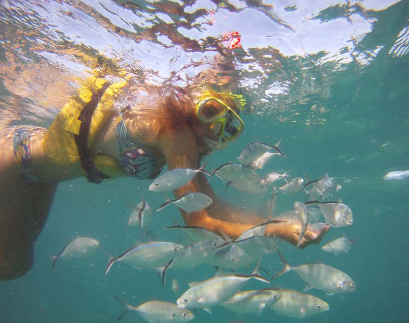 Punta Cana Happy Hour Sailing Cruise - From hotel pickup to Cabeza de Toro coast photo stop