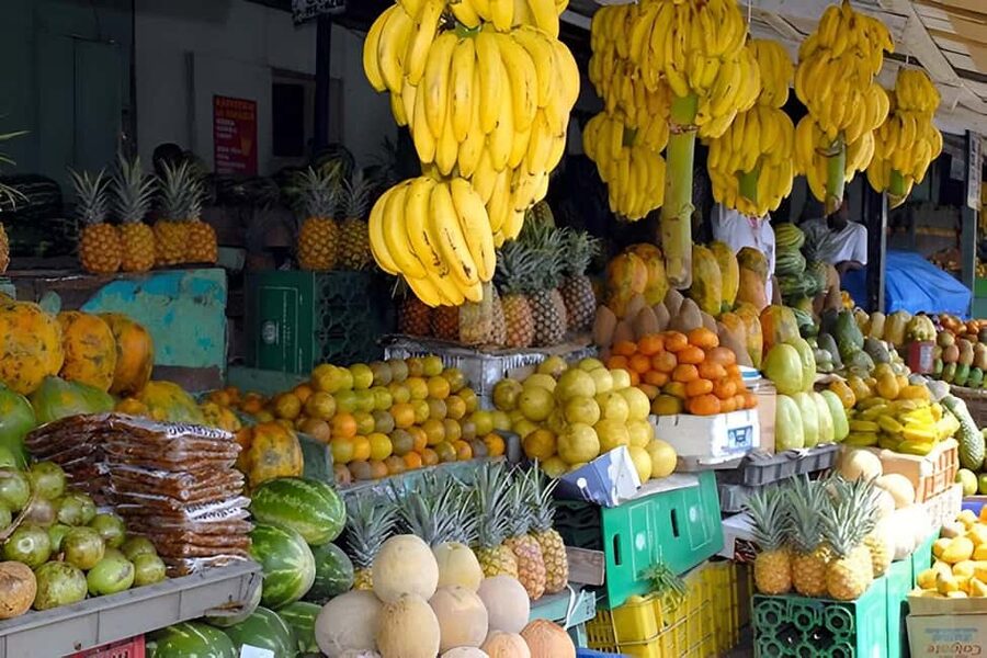Punta Cana: Higuey City Tour - Visit the Basilica Cathedral - Higuey Market Time: Real Daily Life, Not a Souvenir Mall