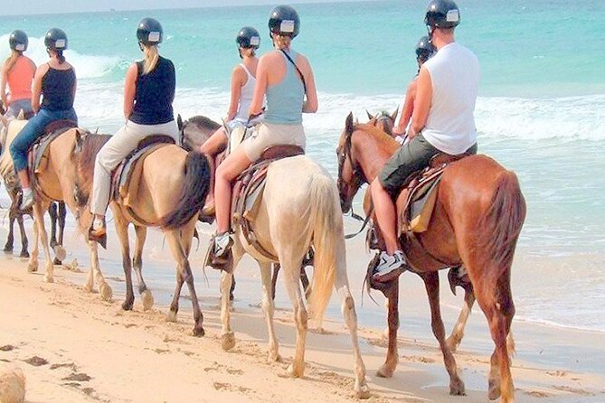 Punta Cana Horse Riding for Beaches in Field - Punta Cana Beach Horse Riding: The Feel of Uvero Alto and Macao Beach