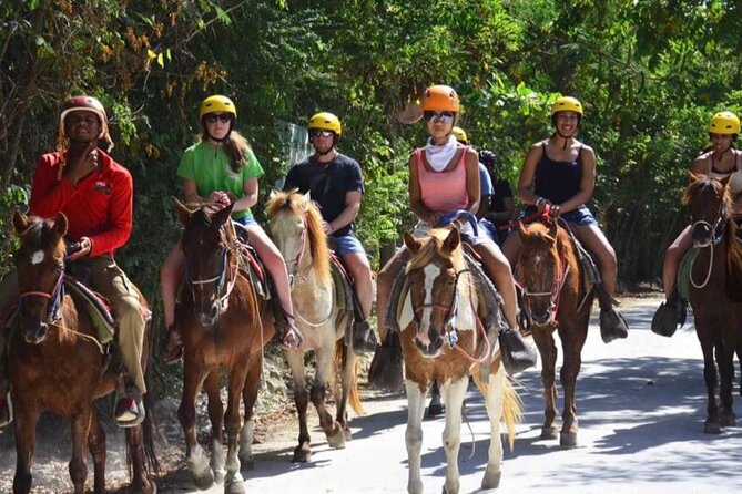 Punta Cana Horse Riding for Beaches in Field - Your 2-Hour Itinerary: What Happens From Stop to Stop